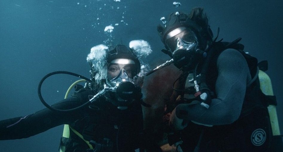 6 Best Shark Movies on Hulu (July 2025)