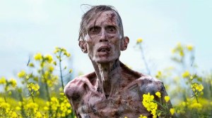 17 Best Zombie Movies on Netflix (August 2026)