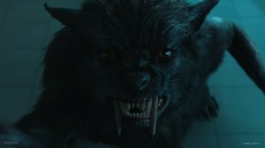 10 Best Werewolf TV Series on Netflix (2026)