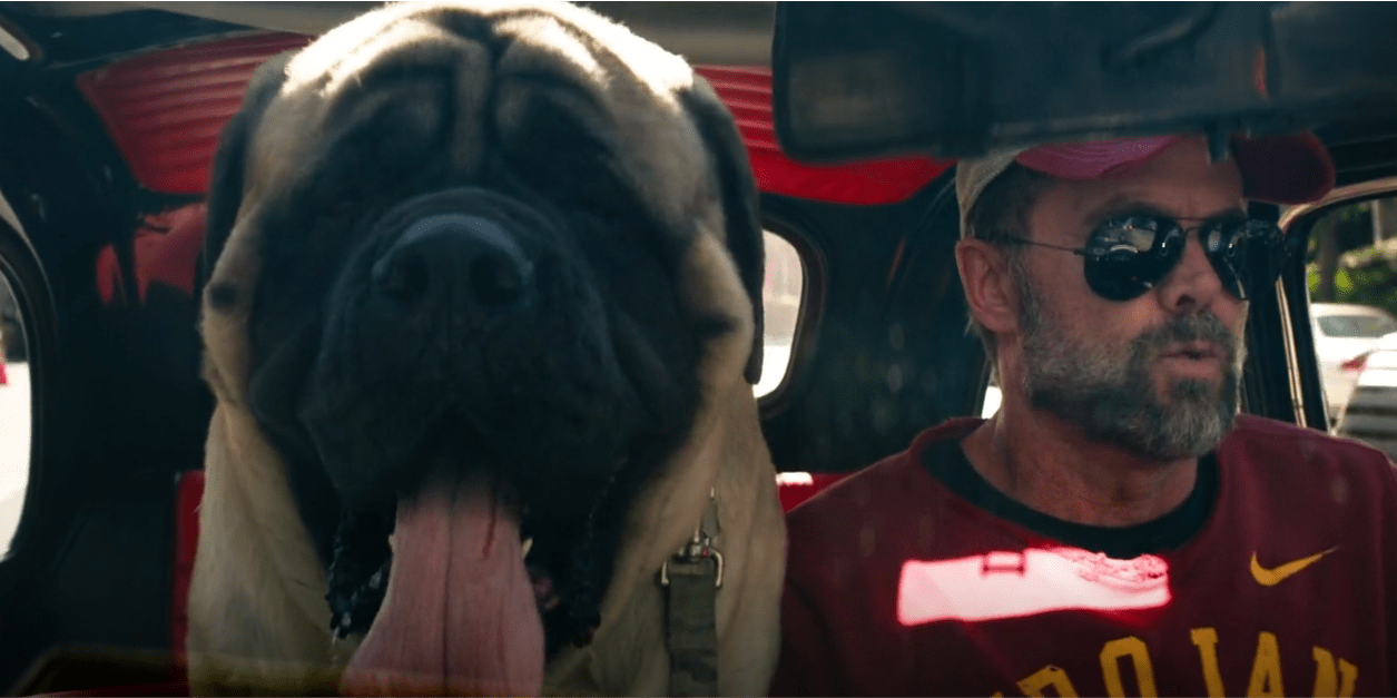 Does Nitro the Dog Die in Ambulance?