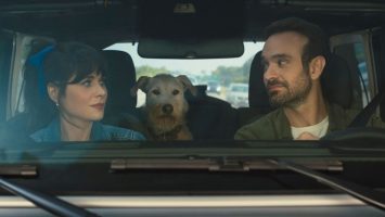 Is Merv a True Story? Is He Based on a Real Dog?