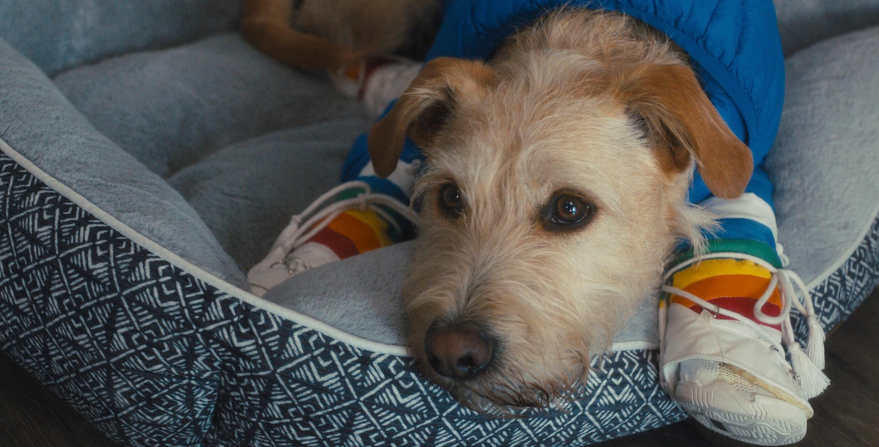 Does Merv the Dog Die in the Movie?