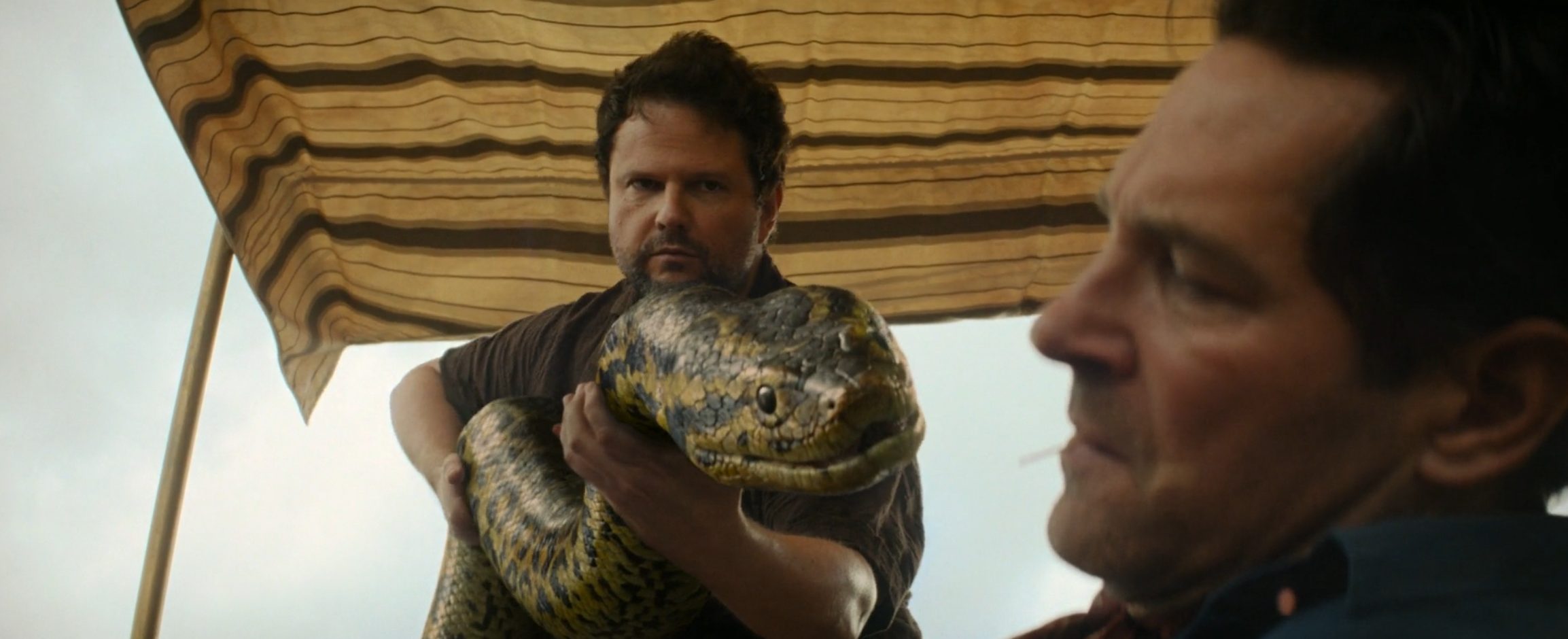 Is Heitor the Snake Dead in Anaconda?