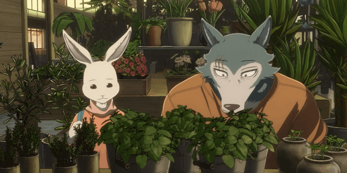 Do Legoshi and Haru Get Married in Beasters?