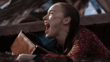 Is Netflix’s Thrash Based on a True Story? Are Hurricane Sharks Real?