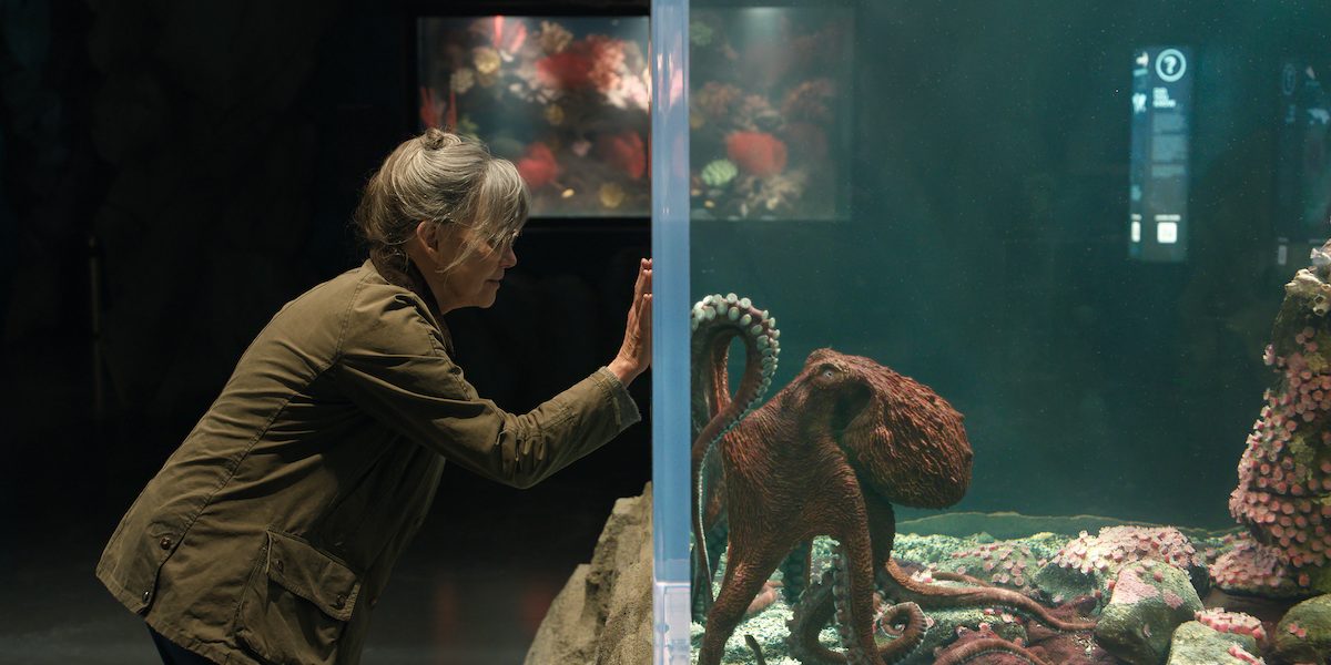 Is Sowell Bay a Real Town? Is Sowell Bay Aquarium a Real Place?