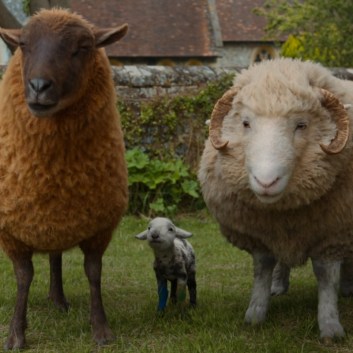 The Sheep Detectives Ending Explained: Who Killed George?