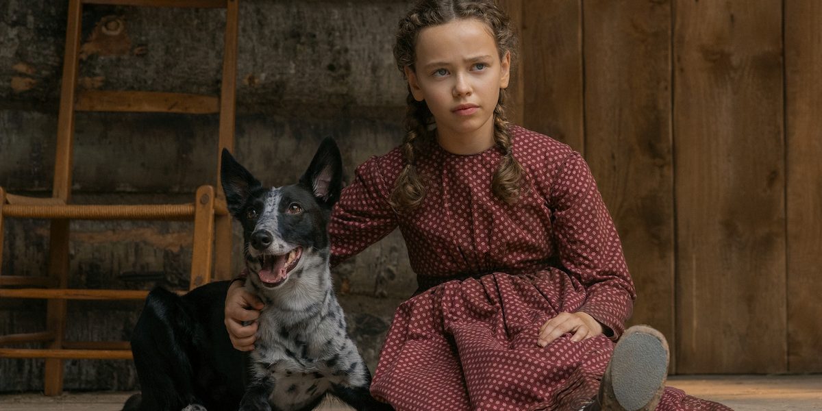 Does Jack the Dog Die in Little House on the Prairie?