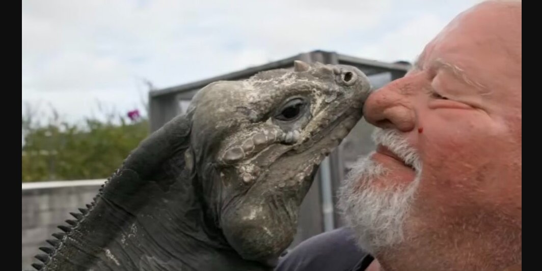 Tommy Crutchfield: Where is the Reptile Dealer Now?
