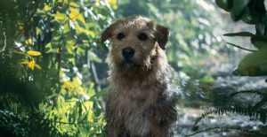 17 Best Dog Movies on Netflix (October 2026)