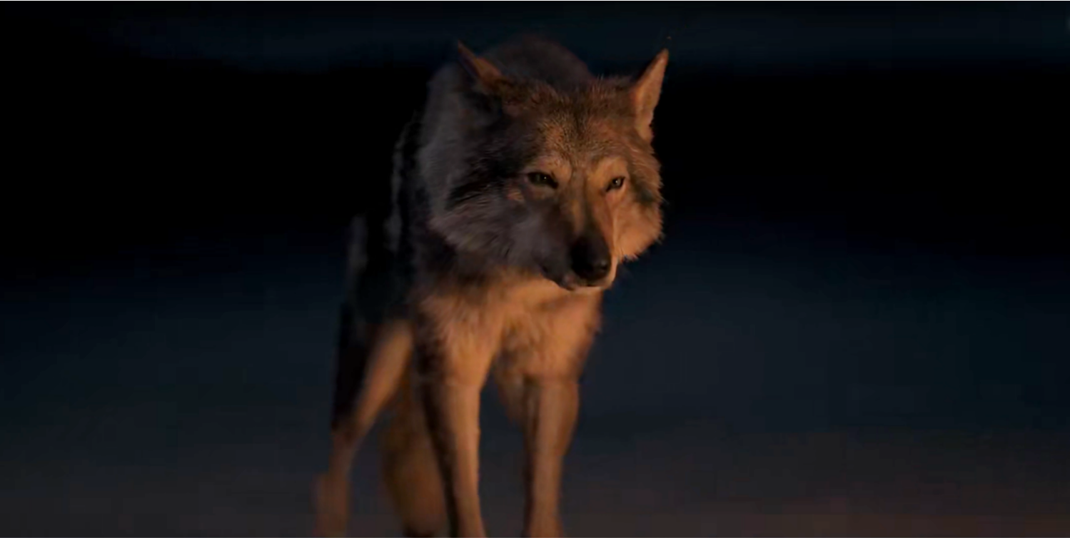 Is the Wolf Real or CGI in Alpha? Who Plays it?
